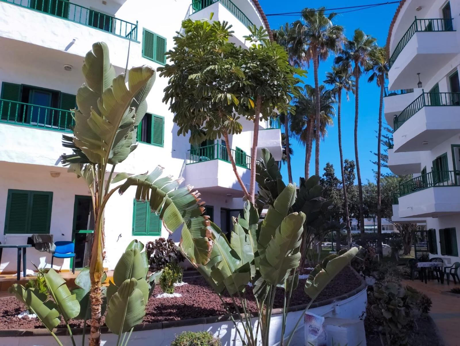 Canarian Havaii En Faluas Playa del Inglés Extérieur photo